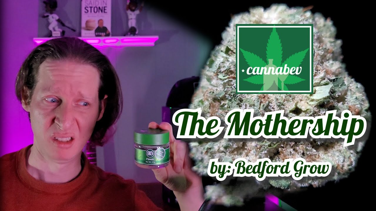 Dried-Out Bedford Grow The Mothership - Illinois Cannabis Review
