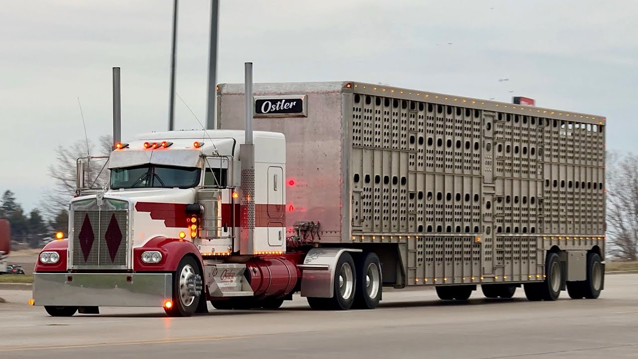 Truck Spotting at Iowa 80 - Walcott, Iowa (Vol. 2)