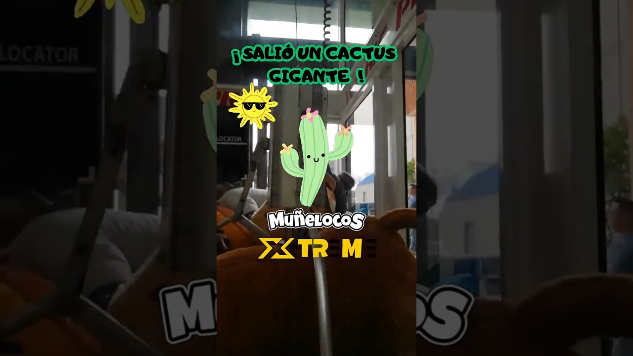 CACTUS GIGANTE🌵 #mu&ntilde;elocos #xtreme #arcade #claw #squishmallows #game #plushtoys #todotienetambor