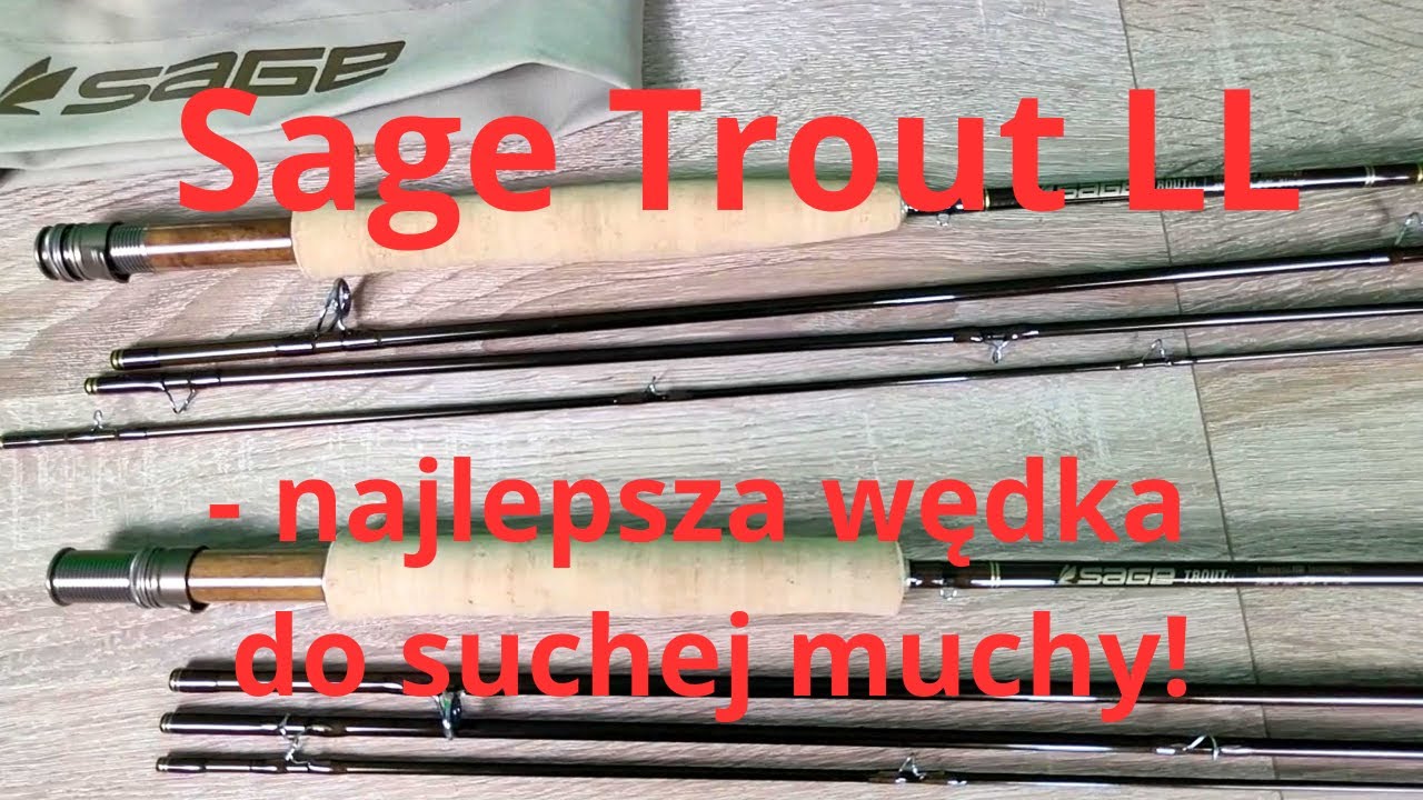 Sage Trout LL - najlepsza wędka do suchej muchy!