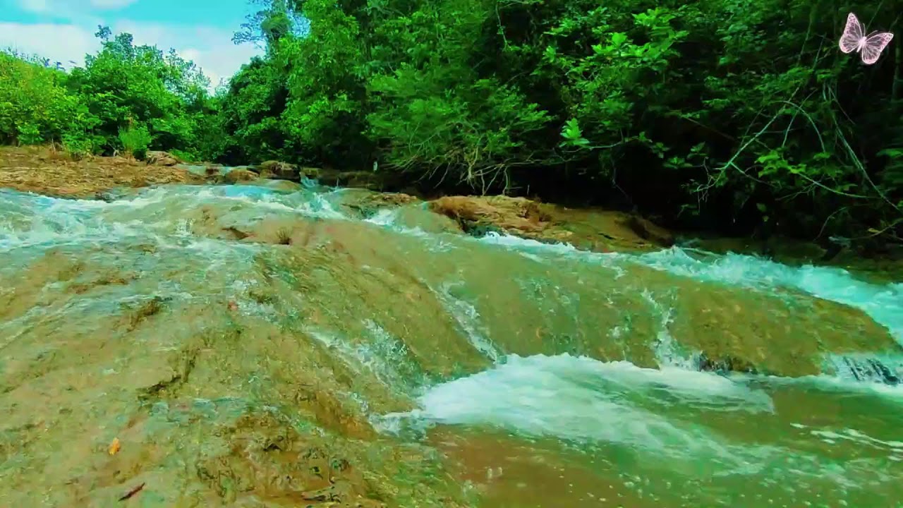Relaxing Music For Stress Relief, Anxiety and Depressive States🌿 Heal Mind, Sleep Meditation Calm 9