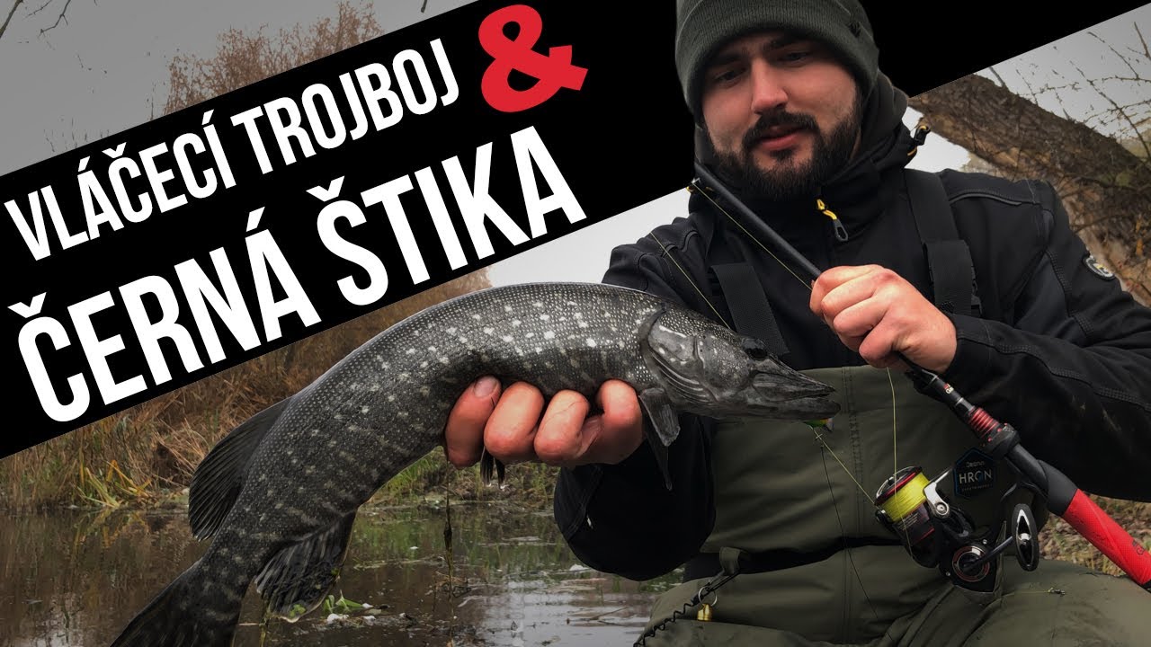 Vláčecí trojboj a černá štika | Spin fishing triathlon and the black pike