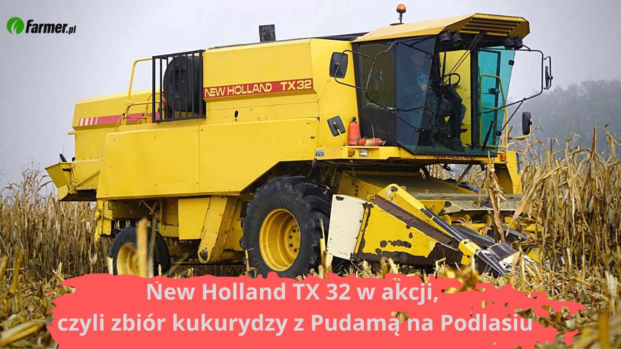 New Holland TX 32 w akcji, czyli zbiór kukurydzy z Pudamą na Podlasiu | Farmer.pl