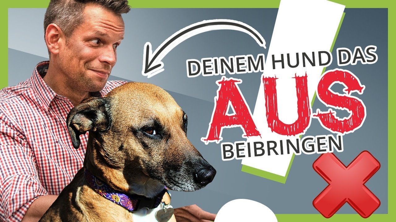 Dem Hund 