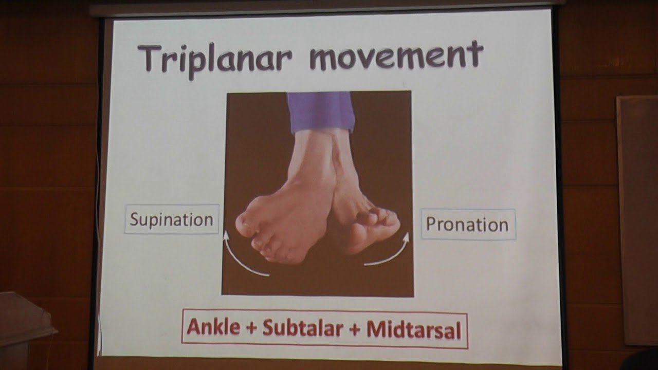 Foot biomechanics