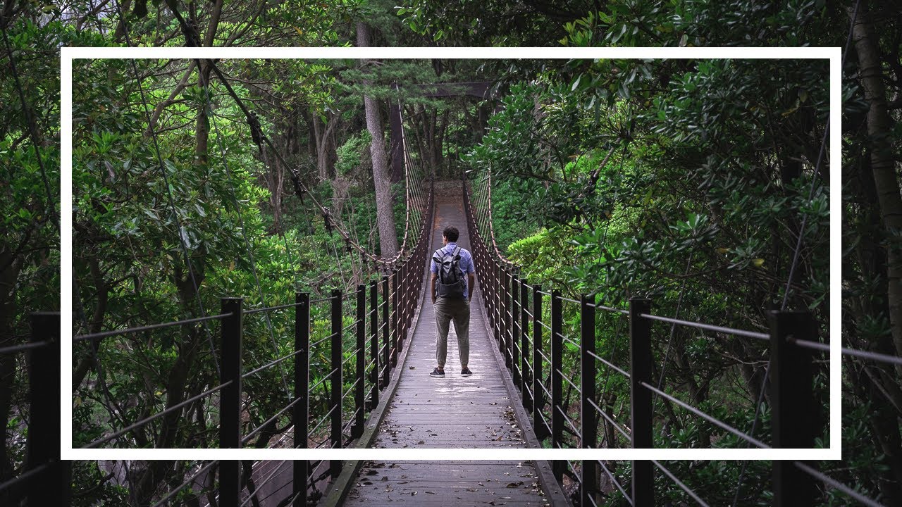 Solo Hiking the Jogasaki Coast in Shizuoka, Japan | Day Hike from Tokyo (Sony A7III + Dji Mavic Air)