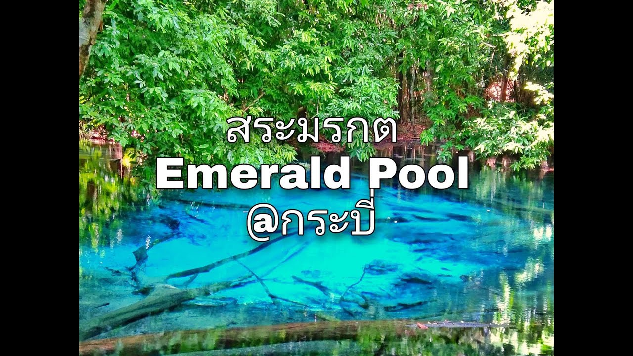 พาเที่ยวสระมรกตที่ที่ไม่ควรพลาด จังหวัดกระบี่ I รีวิวเที่ยวใต้ I [ENG SUB]