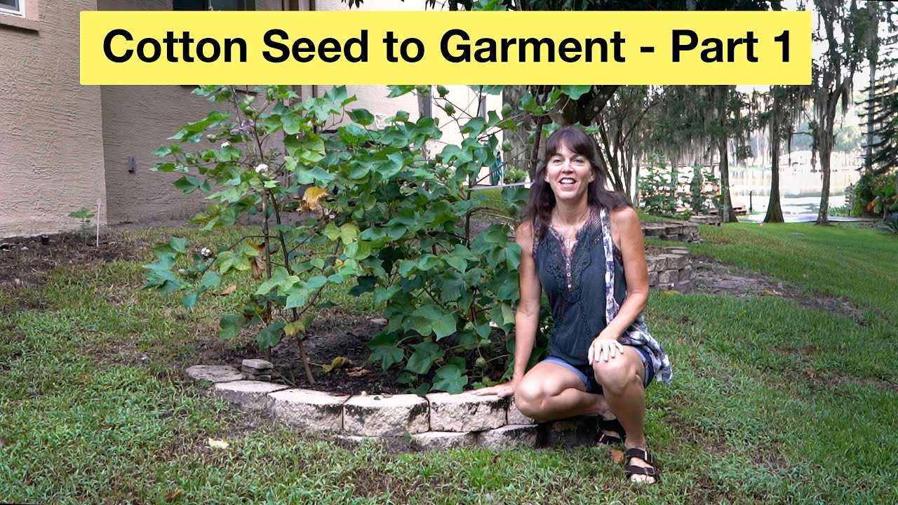Cotton Seed to Garment - Part 1