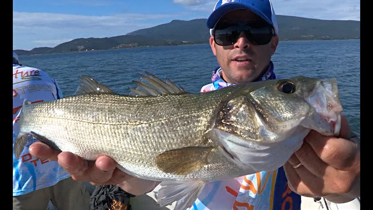 Rapture Lures - Spigola: La Regina Dello Spinning - Parte 2