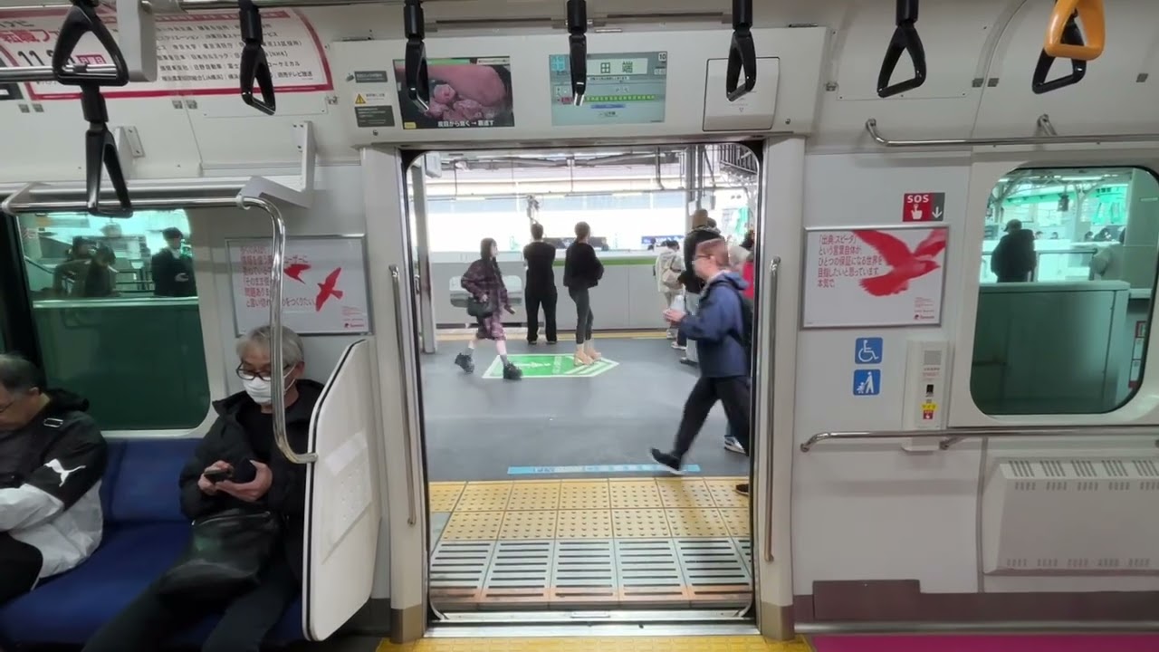 【  🐓ニワトリからの東京🗼 】真鶴から小田原乗り換えで東京に行きます、　　やっぱり今日も根府川は綺麗です❤️