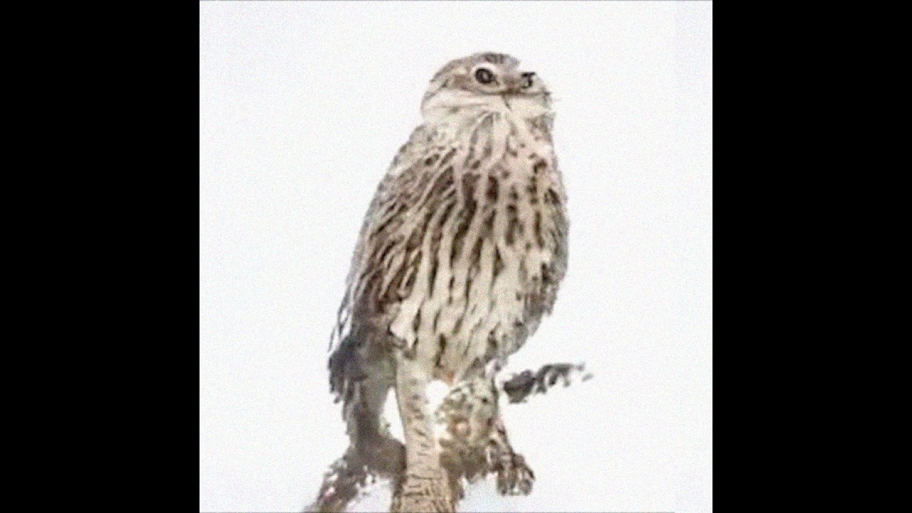 Fast Takeoff – instrumental