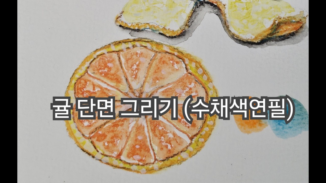 귤 단면 그리기 (수채 색연필)