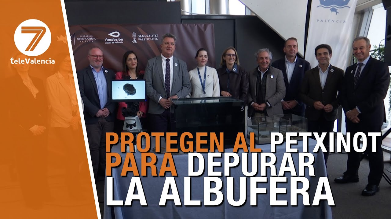 Una colaboración promueve la conservación del Petxinot para limpiar de forma natural la Albufera