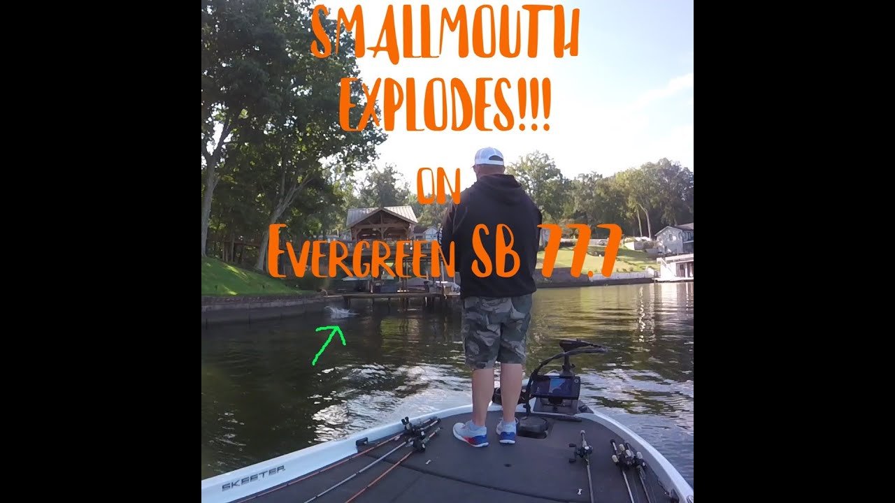 Smallmouth explodes on the new Evergreen SB 77.7 topwater bait