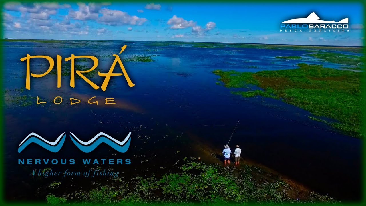 Esteros del Iberá. Pirá lodge. Corrientes, Argentina.