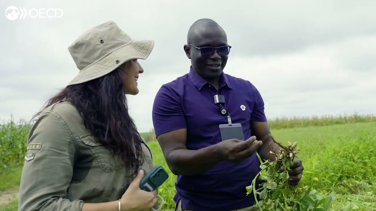 OECD Seed Schemes Explained | Seed Certification & Global Seed Trade
