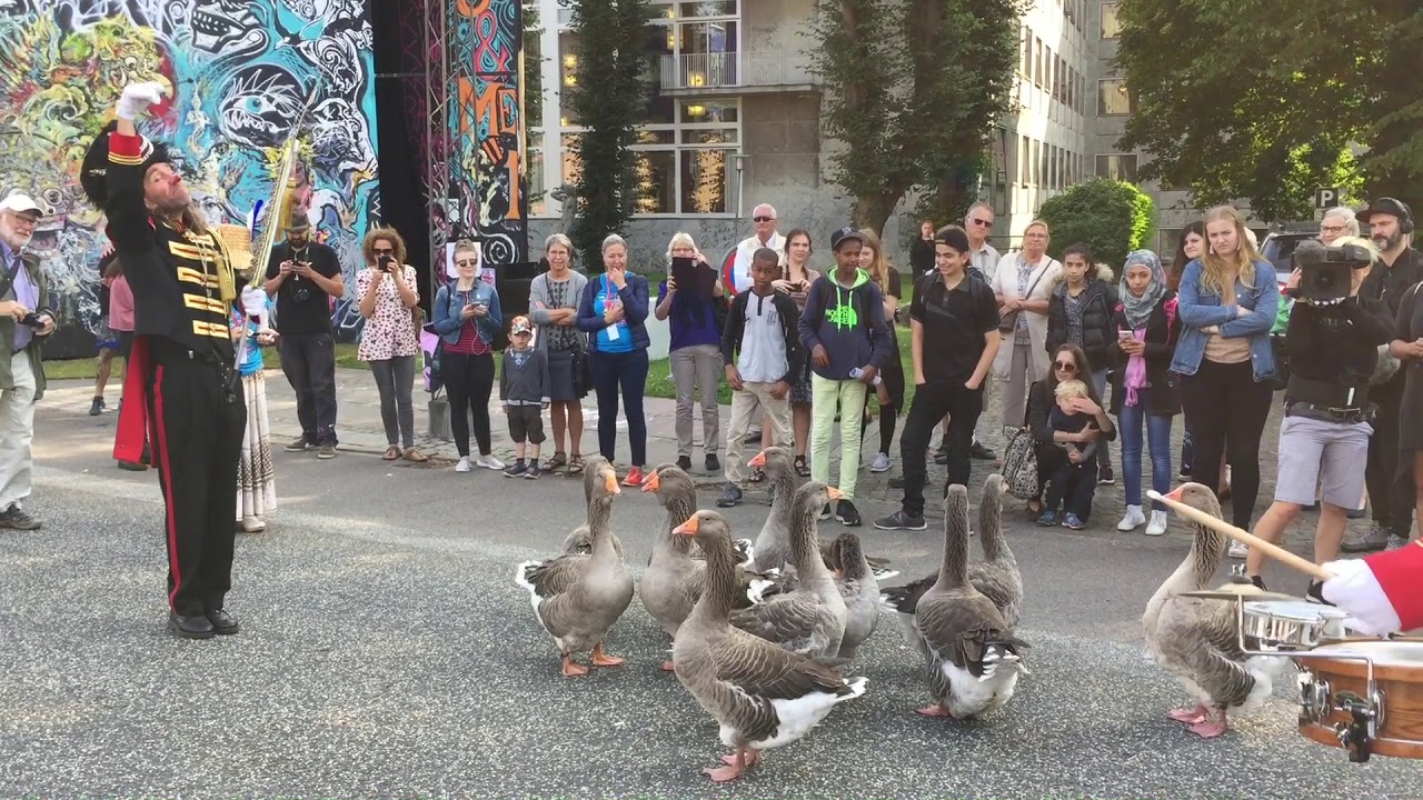 G&aring;segang i Byparken