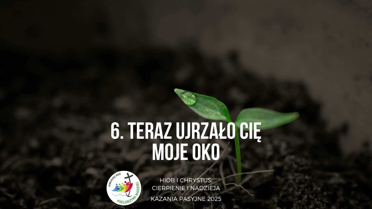 Hiob i Chrystus: cierpienie i nadzieja - 6. Teraz ujrzało Cię moje oko