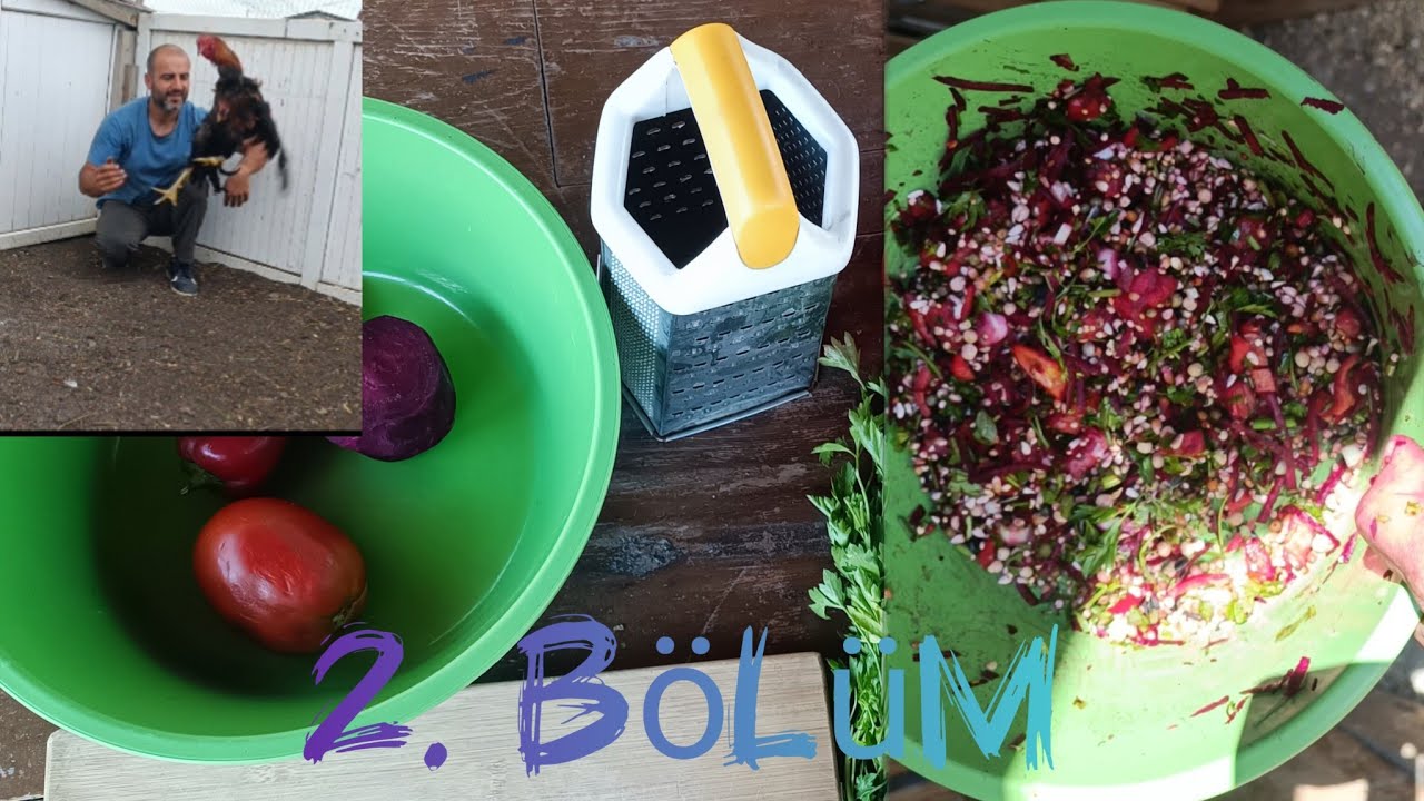 Hint horozu belgeseli 2.bölüm / Özel horoz yemleri ve günlük horoz egzersizleri