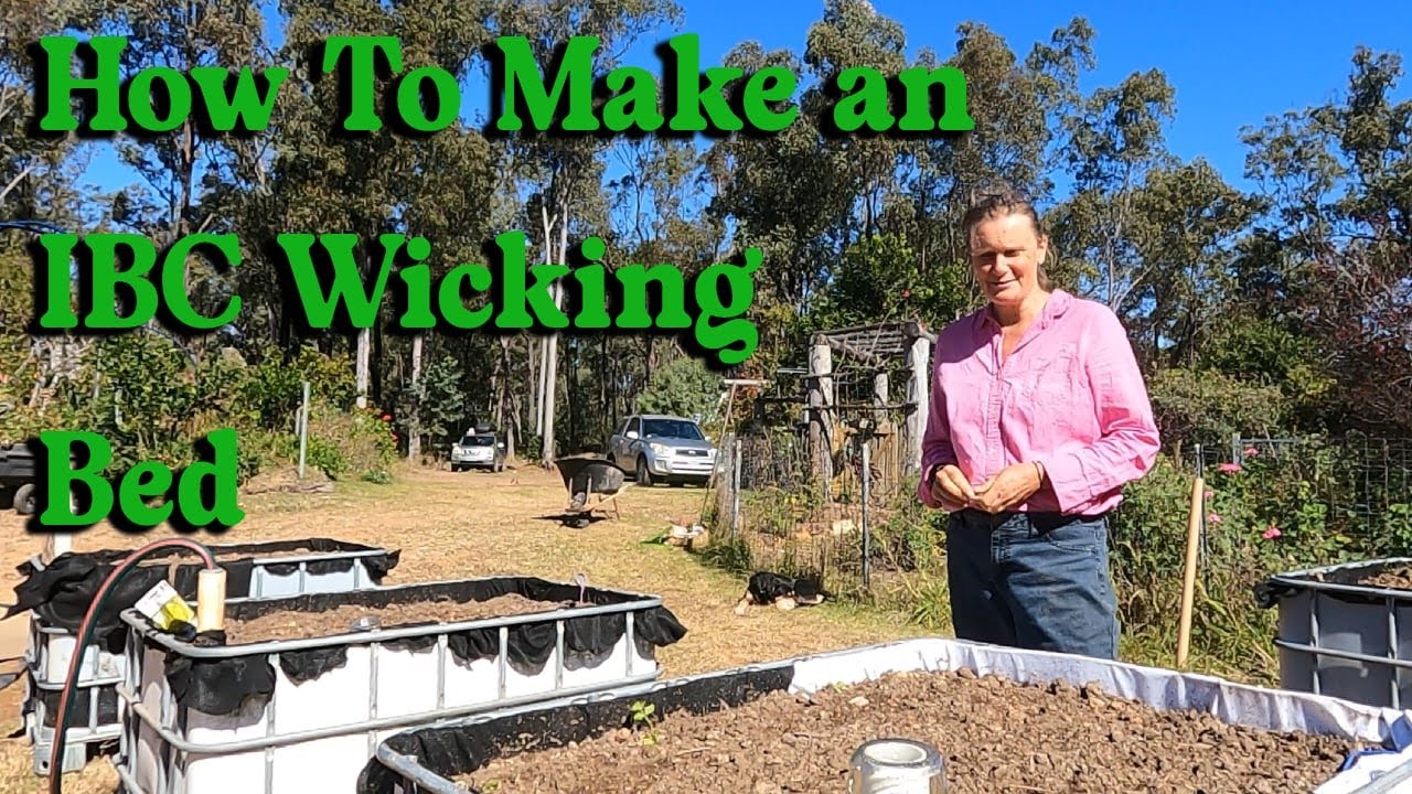 How to make an IBC Wicking Bed