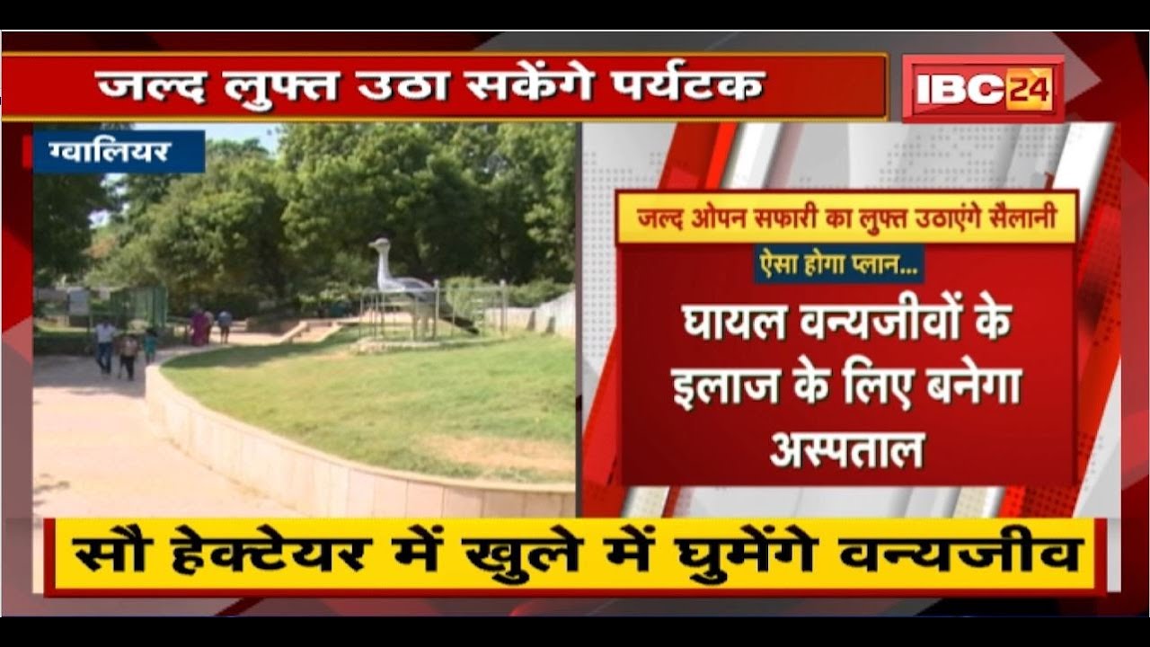 Gwalior में Open Safari का खाका बनकर तैयार। जल्द ओपन सफारी का लुत्फ उठाएंगे सैलानी