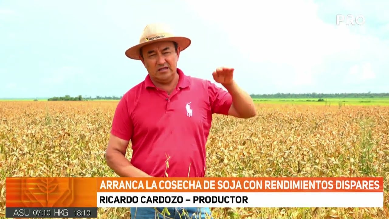 Arranca la cosecha de soja con rendimientos dispares