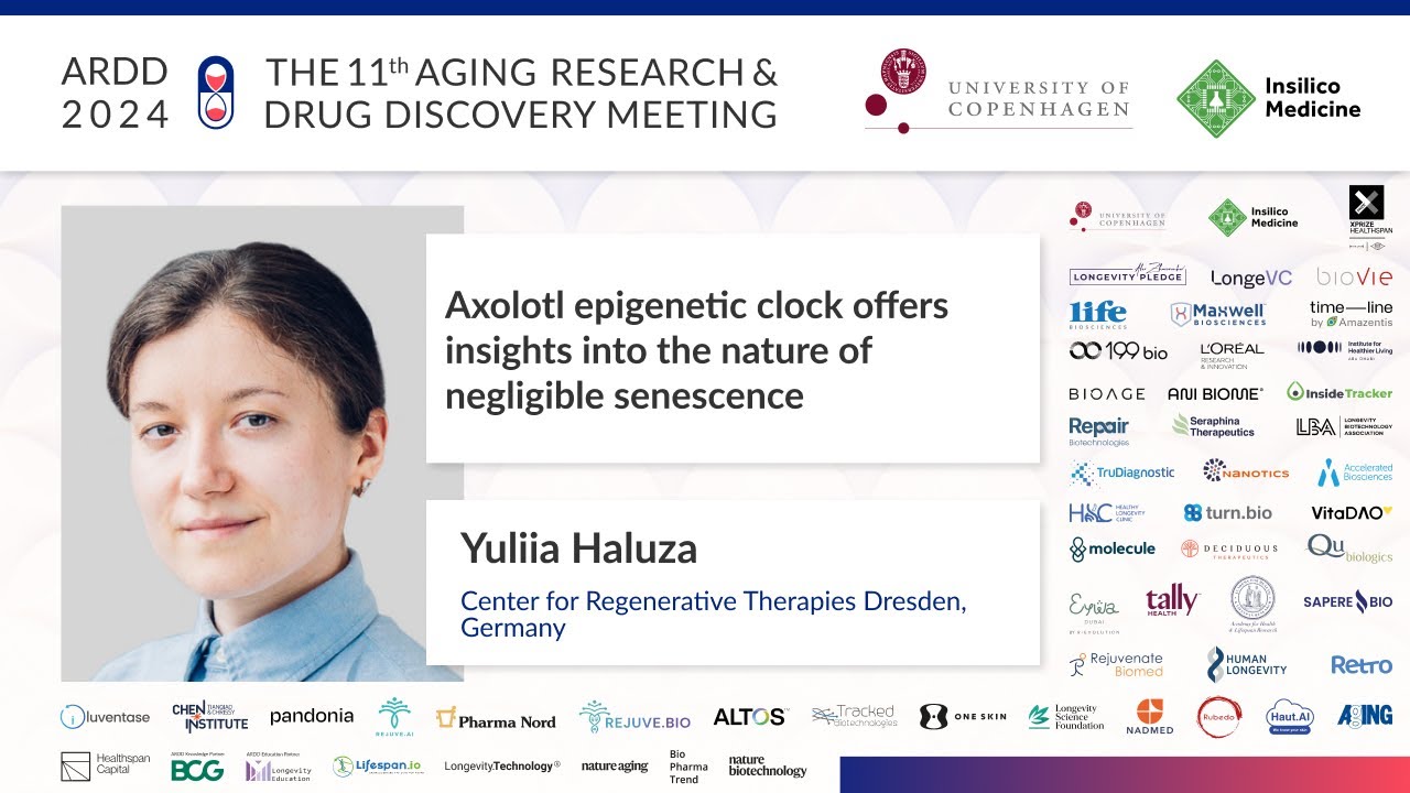 Yuliia Haluza at ARDD2024: Axoloti epigenetic clock offers insights ... of negligible senescence