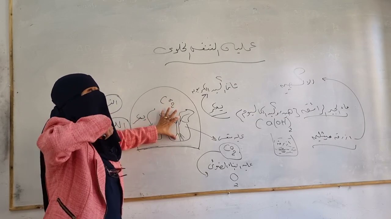 عمليه التنفس الخلوي الصف الثاني الاعدادي الوحده الثالثه ترم اول ٢٠٢٦. ا. امل سعد 