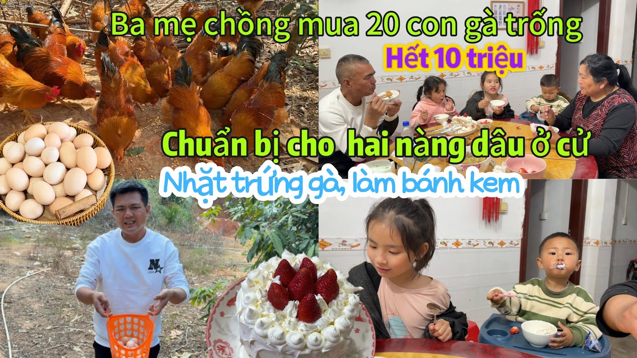 375 🥖 Ba mẹ chồng mua 30 con gà trống cho hai nàng dâu ở cử hết 10 triệu, nhặt trứng gà làm bánh kem