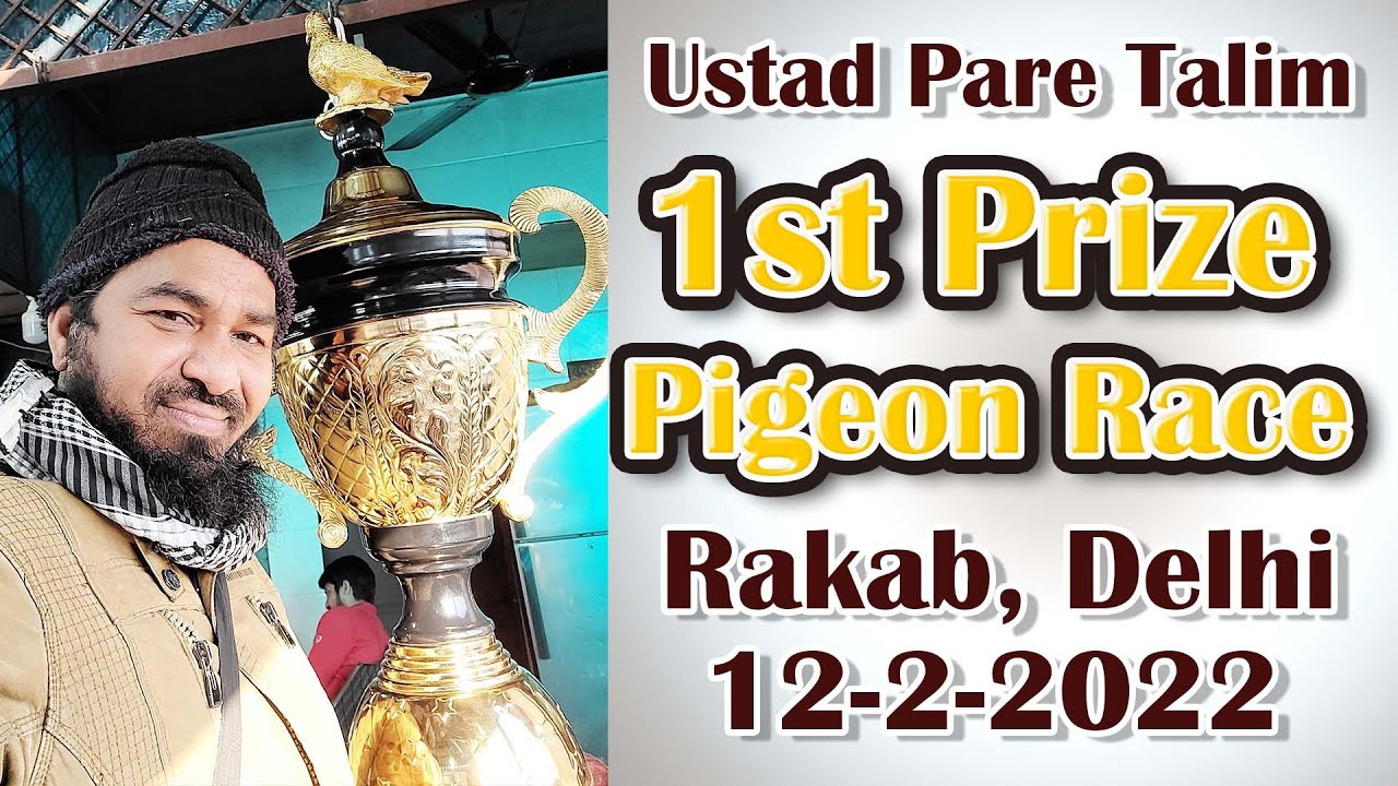 1st Winner Khalifa Qaiyum - Ustad Aslam (Pare) Talim, Rakab Cup  | Delhi Ki Kabootar Bazi