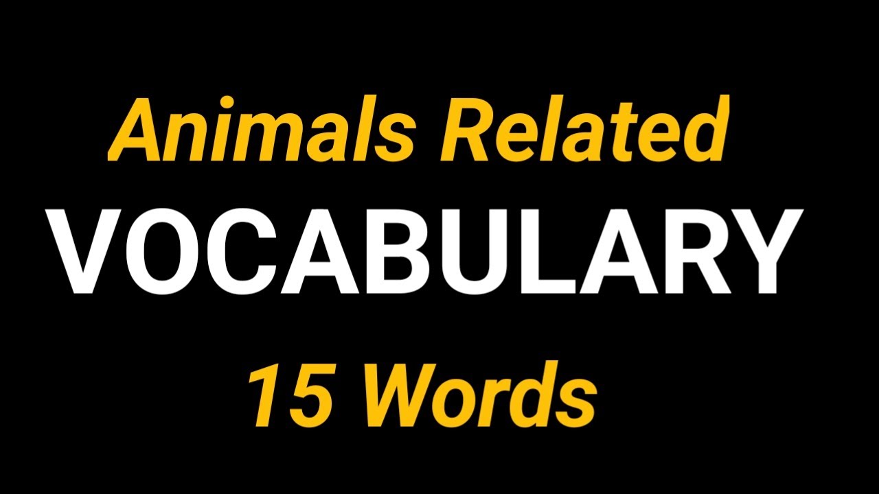 Animals English | Animals Vocabulary | Zulfiqar Mohammadi English