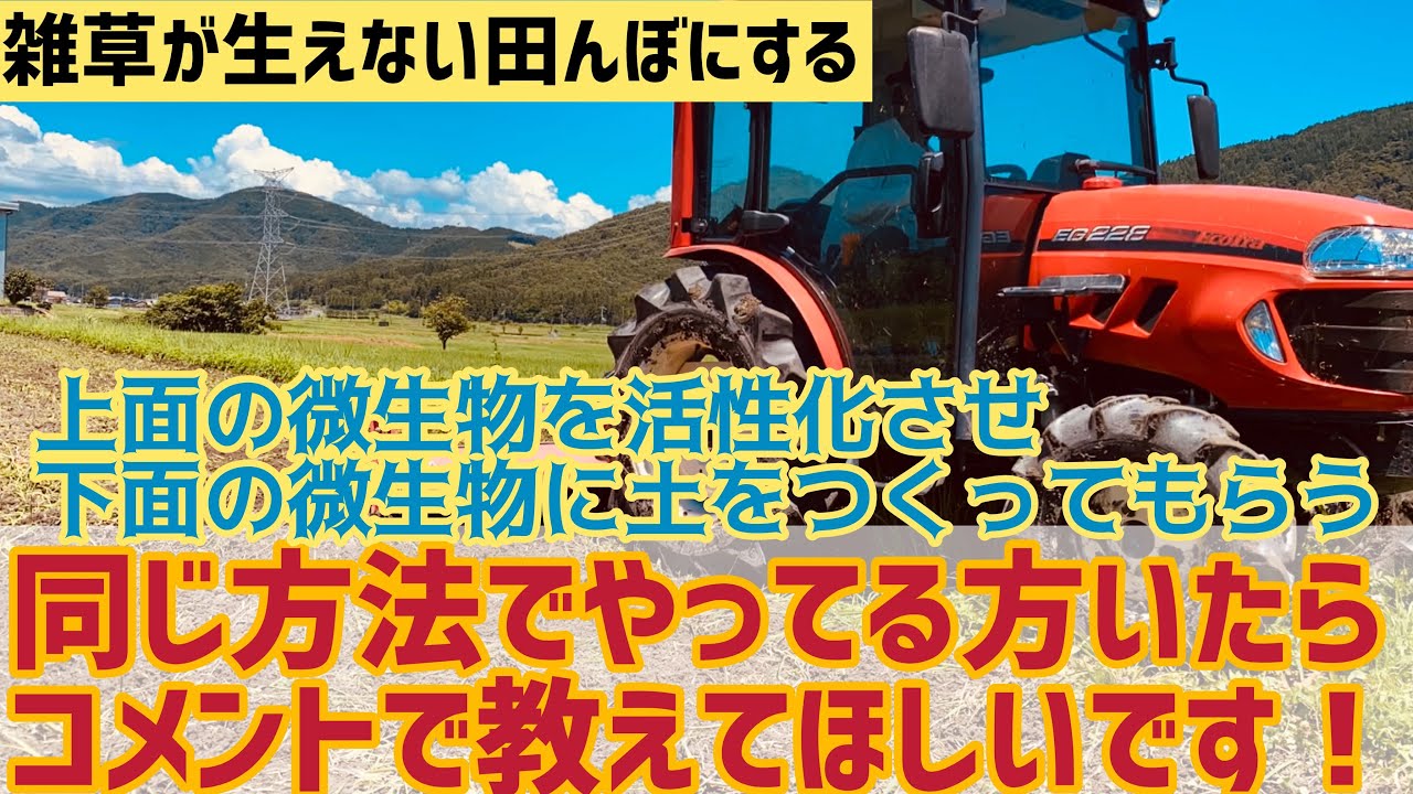 コメントでおしえてほしいです！雑草が生えない田んぼにする！初挑戦❗️上面の微生物を活性化させ、下面の微生物に土をつくってもらうトラクター耕うん方法！（RICE IS COMEDY®︎）
