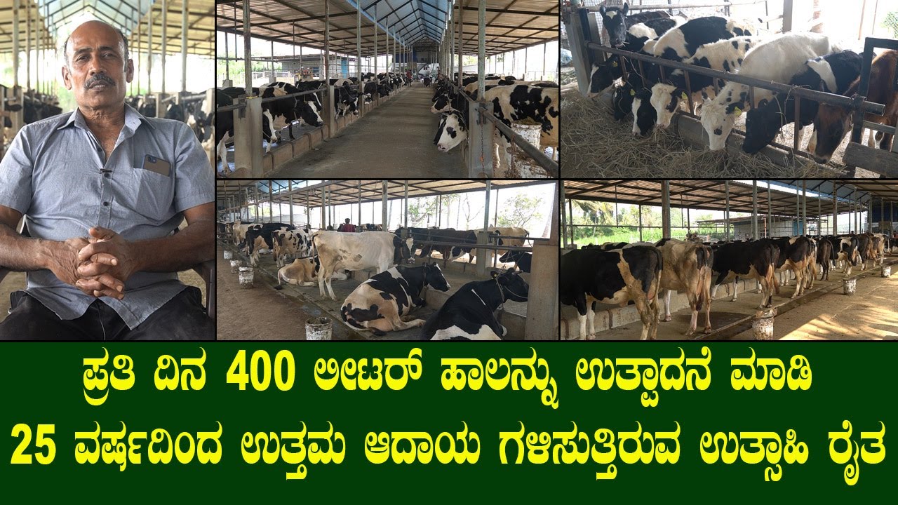 ಪ್ರತೀ ದಿನ 400 ಲೀಟರ್ ಹಾಲನ್ನು ಉತ್ಪಾದನೆ ಮಾಡಿ 25 ವರ್ಷದಿಂದ ಉತ್ತಮ ಆದಾಯ ಗಳಿಸುತ್ತಿರುವ ಉತ್ಸಾಹಿ ರೈತ|dairy farm