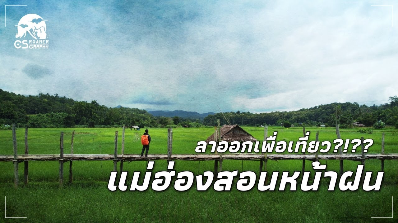 ลาออกมาเที่ยว 