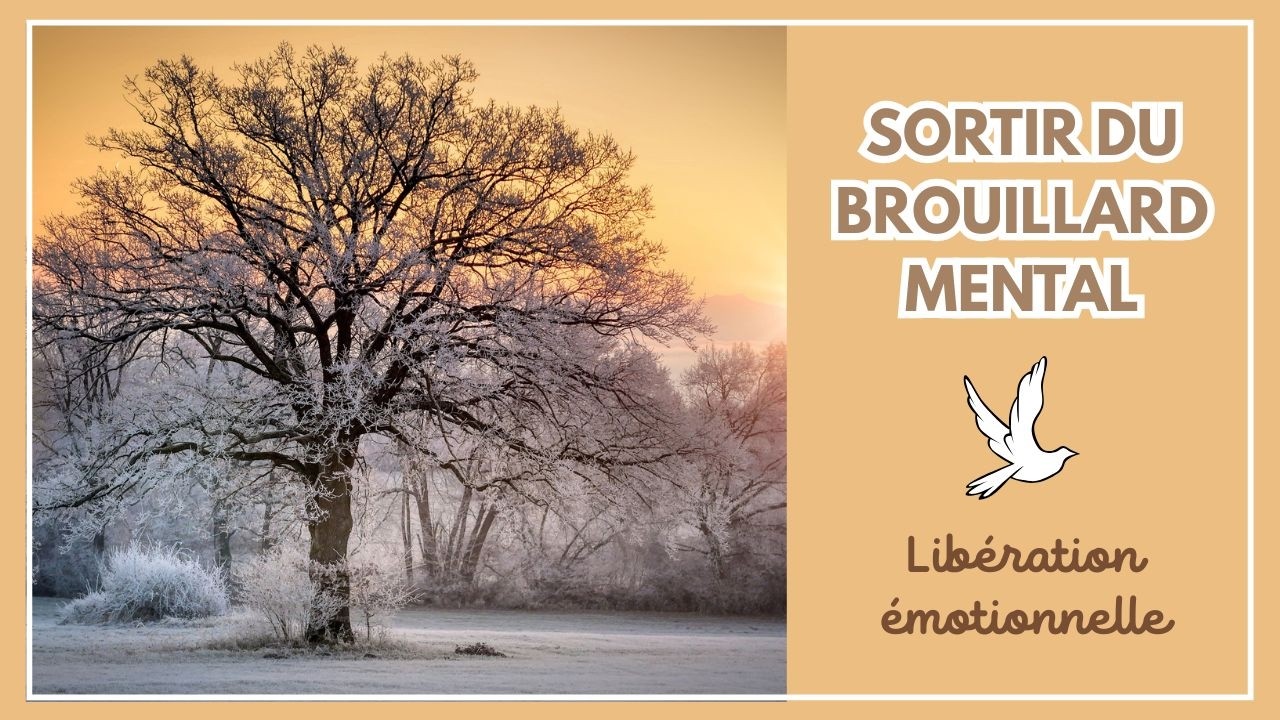 Sortir du brouillard mental - Libération émotionnelle