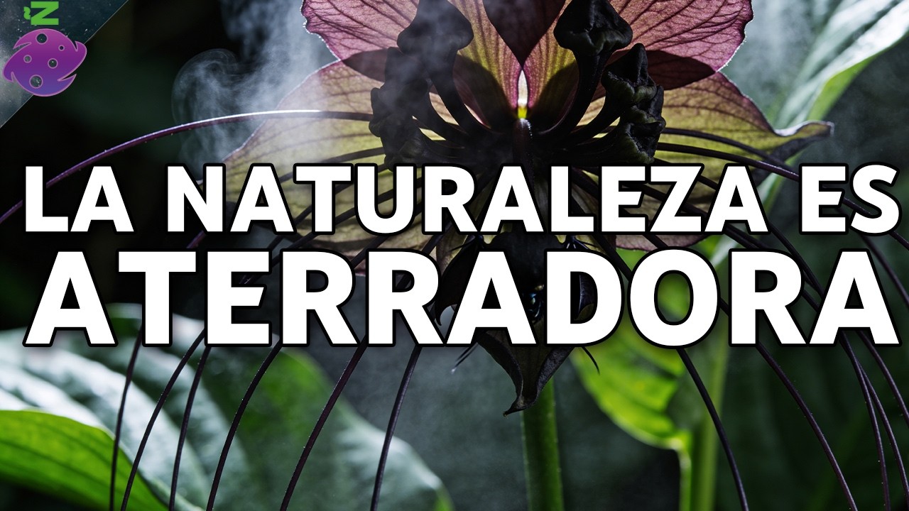 15 Plantas Más Extrañas del Mundo Que No Creerás Que Existen