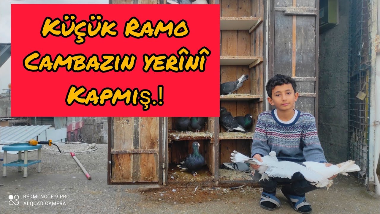 Küçük Ramo GÜVERCİN PEŞİNDE ( küçük Cambazin Kopyası ) İZLE