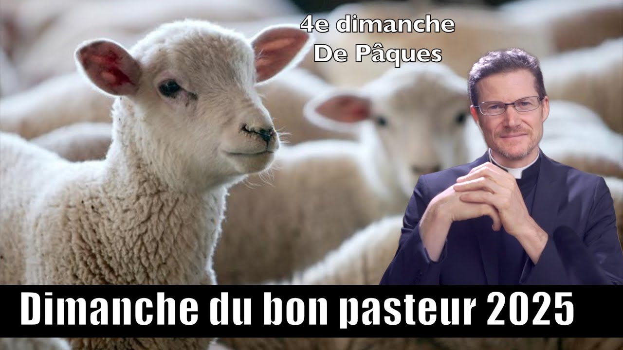 DIMANCHE DU BON BERGER, 4e dimanche de pâques, homélie - étude biblique