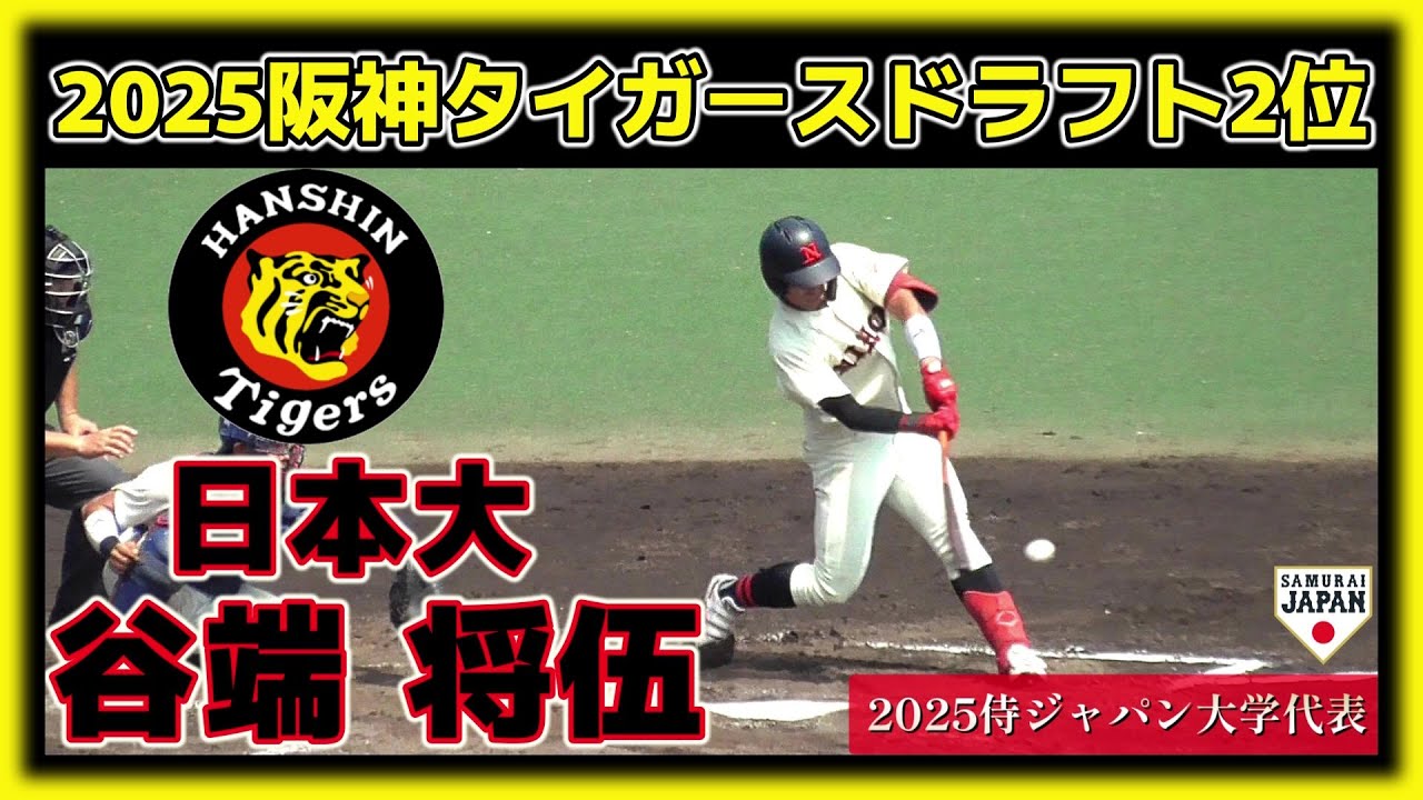 【≪2025阪神タイガースドラフト2位/侍ジャパン大学代表/強打の内野手≫戦国東都で2季連続首位打者に輝いた強打の内野手！/2023東都大学野球連盟秋季リーグ戦】日本大・谷端 将伍(星稜高)