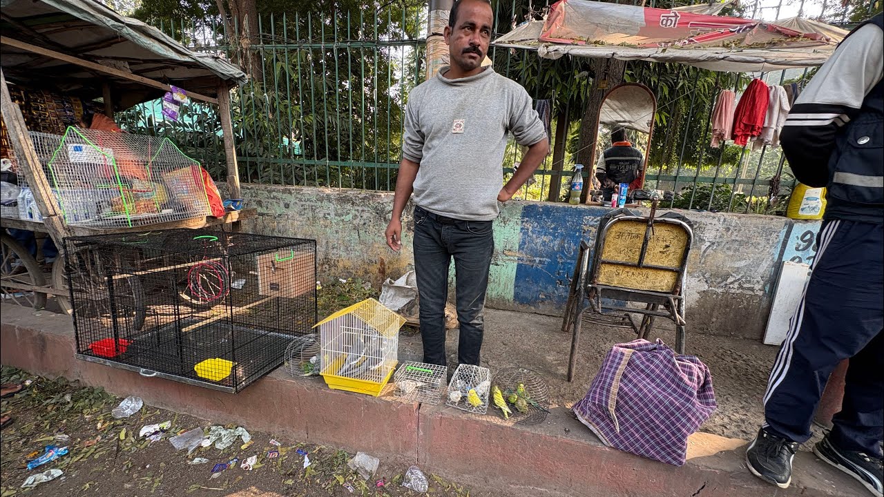 Latest video 04/01/2026 Sanday Nimbu ￼Park Birds Market Lucknow sabse Sasti Chidiya Bazar #pets 😱😱