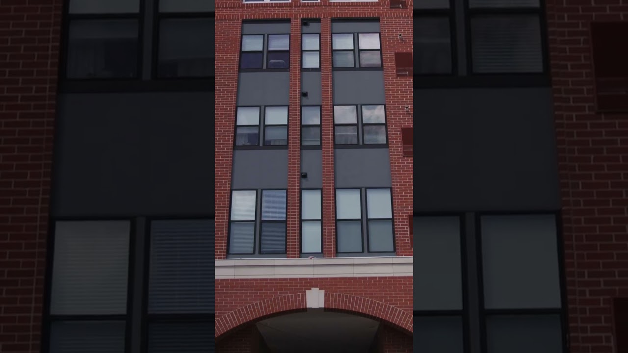 Dive into the impressive world of TRITEC!