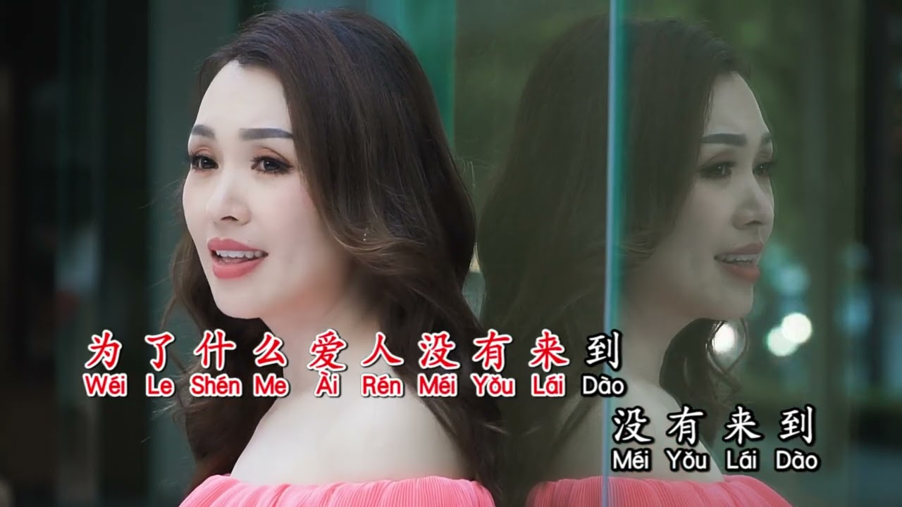 泪的衣裳 Vivy Wan
