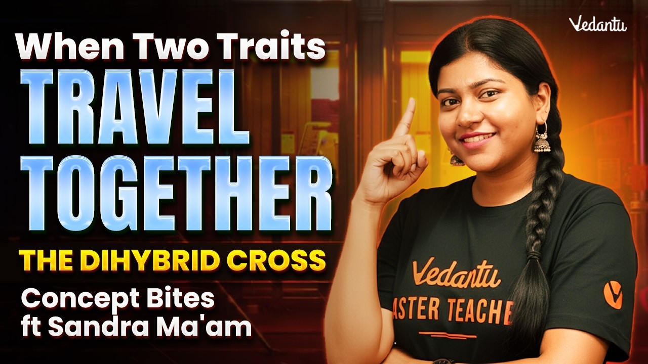 When Two Traits Travel Together : The Dihybrid Cross | Concept Bites ft Sandra Ma'am
