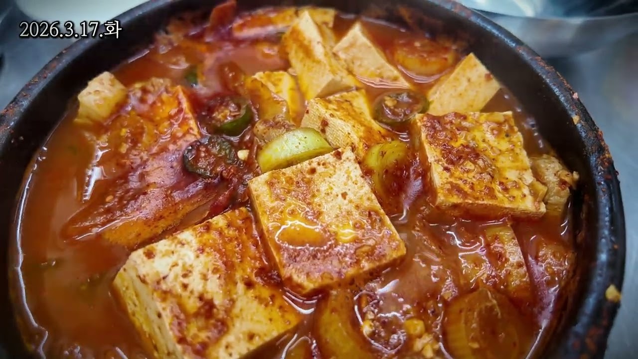 94kg 초고도비만 자영업자 브이로그 | 봄동비빔밥에 인조고기밥까지…