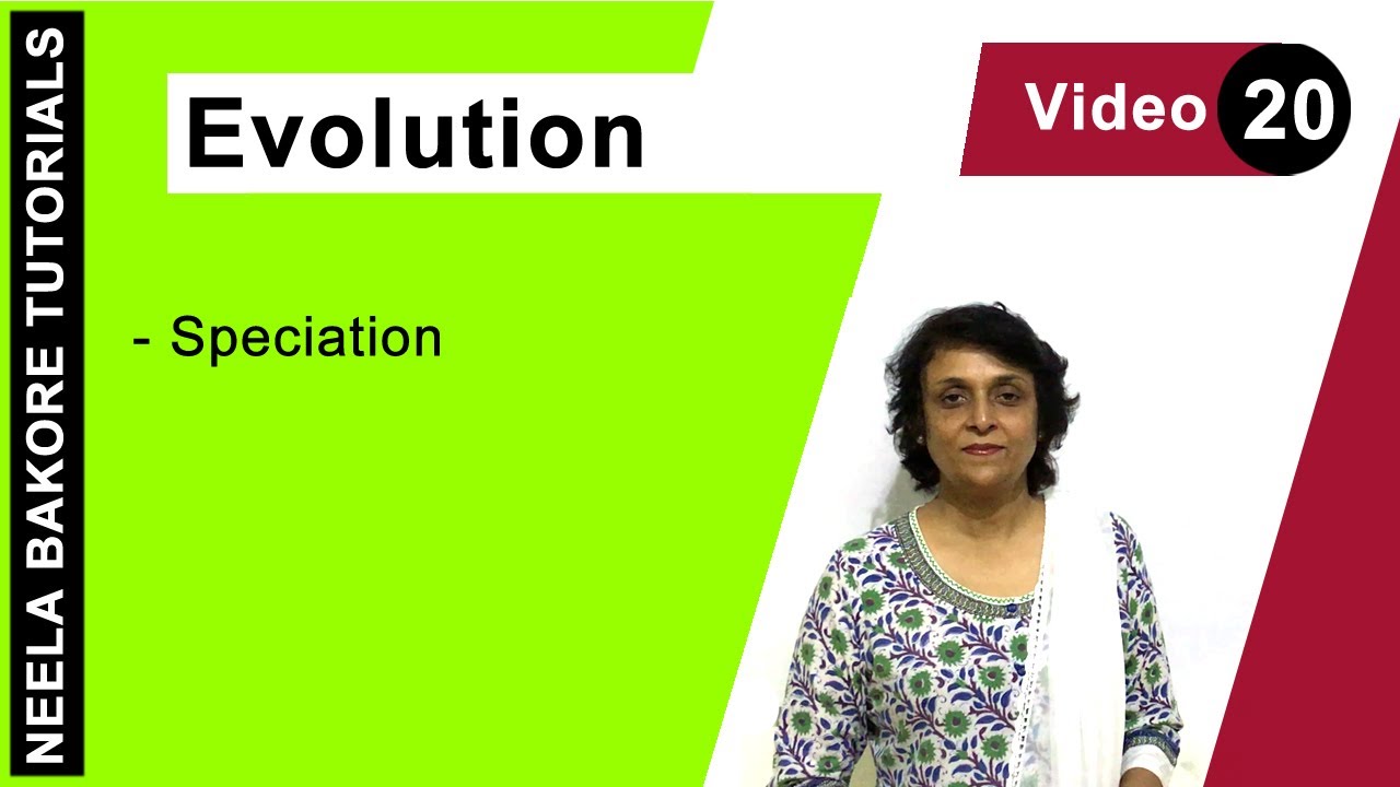 Evolution | NEET | Speciation | Neela Bakore Tutorials