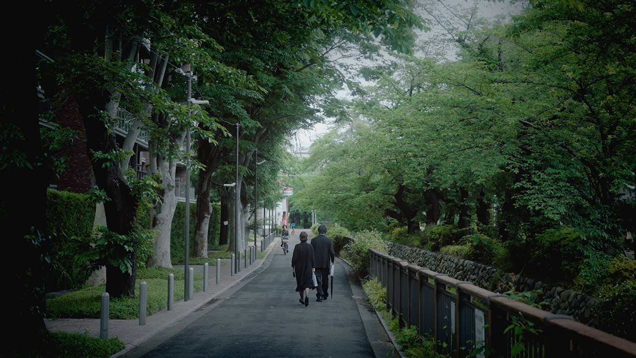 松本千夏 - キッチン (Official Music Video)