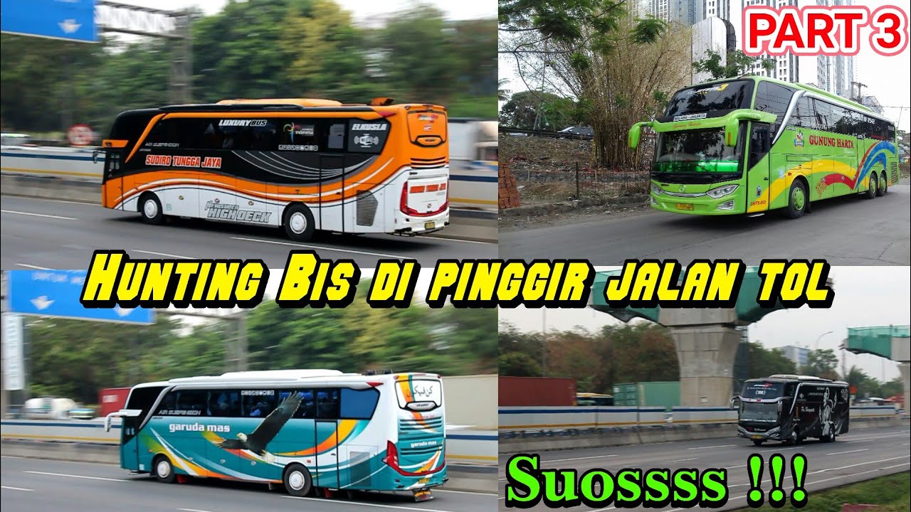 Suoss Kabeh !!! Hunting Bis Di Pinggir Tol