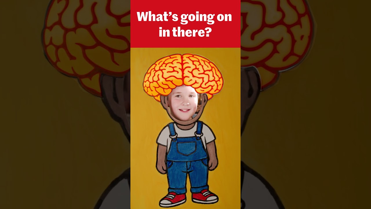 Aged 8-14 and fancy having your brain scanned?