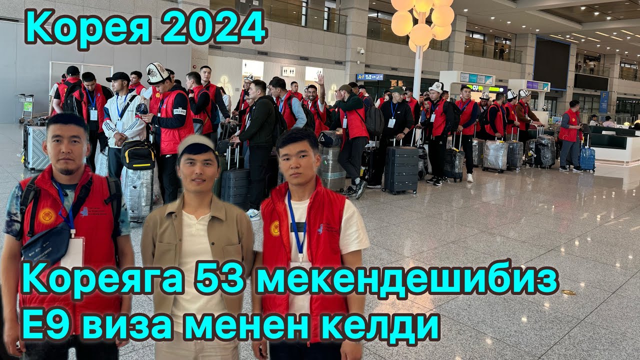 Кореяга виза алган 53 мекендешибиз, Кош келдиңер Кореяга
