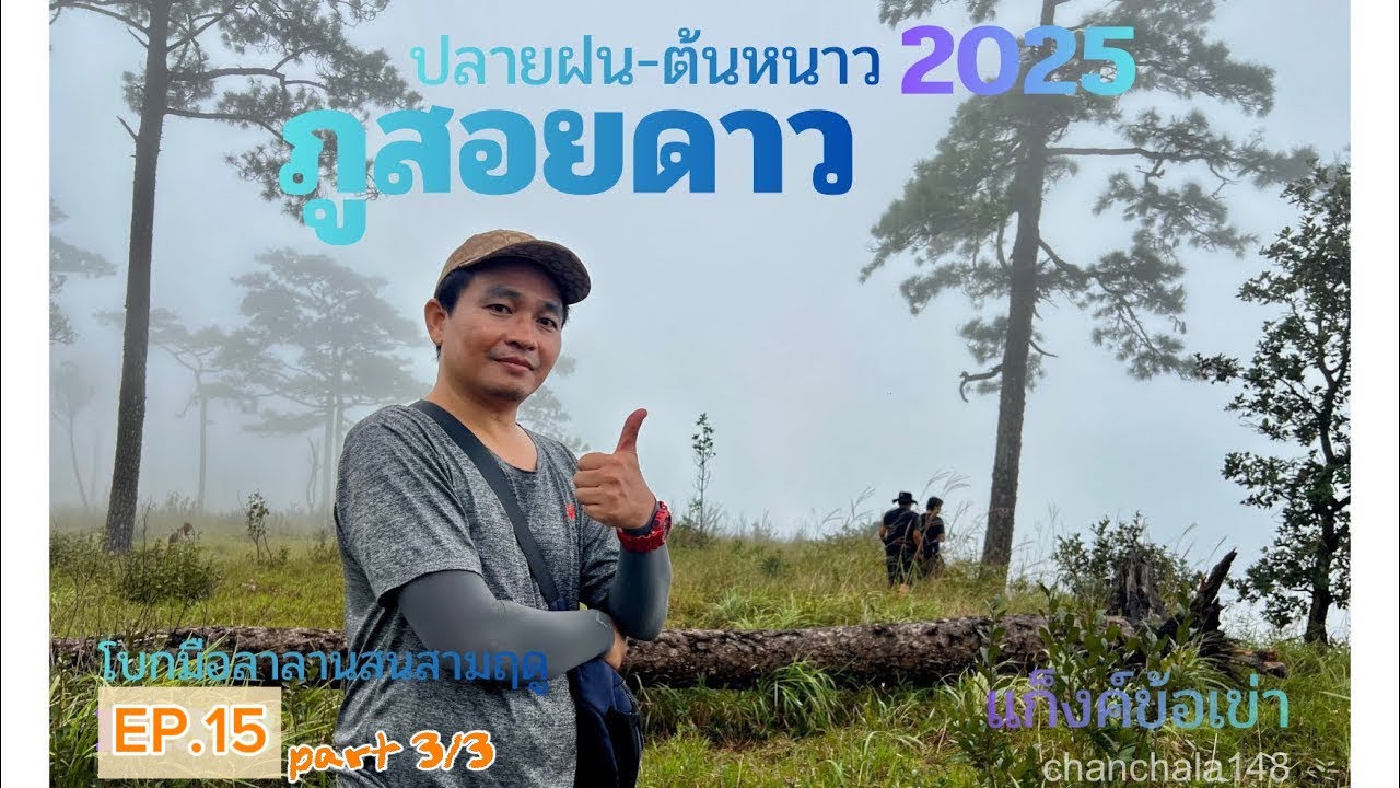 โบกมือลา ลานสนสามฤดู…บนภูสอยดาว 2025 (ในวันที่เดินไหลๆลงภู)